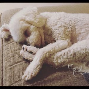 Meet your Posher, Hiromi